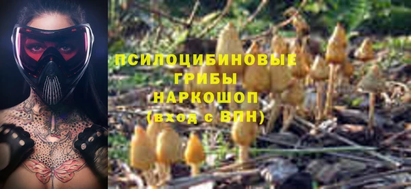 прущая мука Заволжье