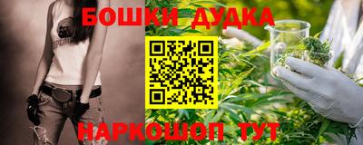 крисы Обь