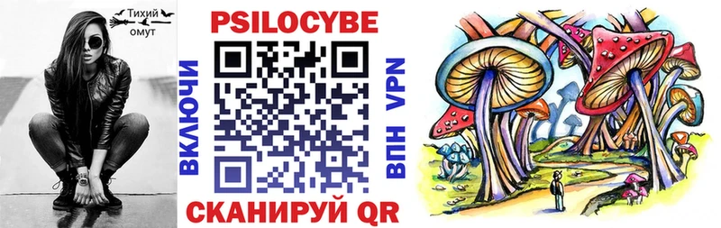 OMG ссылки  Тында  Псилоцибиновые грибы Psilocybine cubensis 