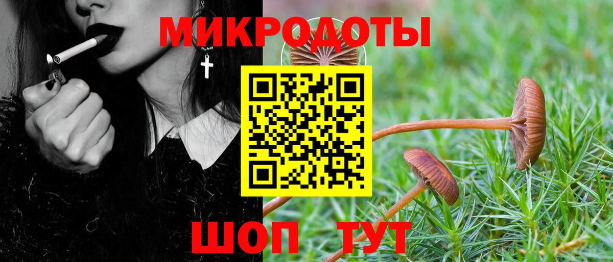 Галлюциногенные грибы Psilocybine cubensis  Псилоцибиновые грибы прущие грибы  Тында  Вход с VPN 